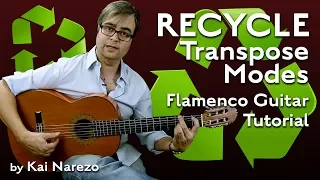 Recycle Transpose Modes Flamenco Guitar Tutorial by Kai Narezo