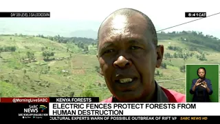 Kenyan authorities erect electric fences to protect forests and animal life