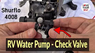 RV Water Pump Check Valve Function and Replacement How-to - Shurflo 4008