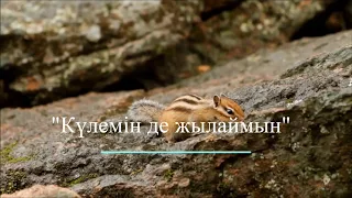 Қасым Аманжолов өлеңдерінен поэзия. Хамзина А.С.