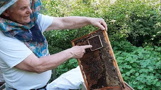 Как сделать отводок пчел легко и просто!