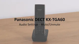 Panasonic DECT KX-TGP600 - Audio Settings: Mute / Unmute a call