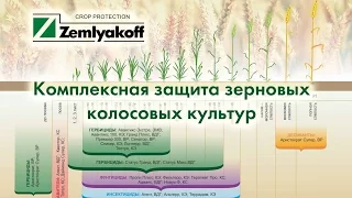 Комплексная защита зерновых колосовых культур