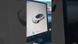 Tesla voice control - useless but funny