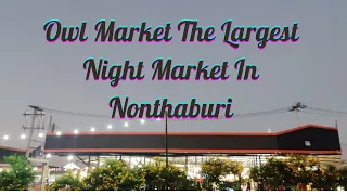 Owl Market The Largest Night Market In Nonthaburi