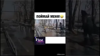 С большим еб@льником начальник