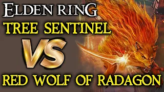 ELDEN RING BOSS VS. BOSS: Tree Sentinel VS. Red Wolf of Radagon!