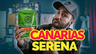 Probando yerba mate CANARIAS SERENA