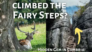 Have you climbed these FAIRY STEPS in Cumbria?