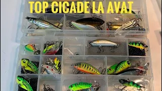 Prezentare cicade si voblere pescuit la Avat tutorial🐟