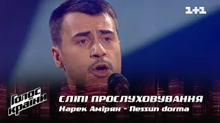 Narek Amiryan  — "Nessun dorma" — Blind Audition — The Voice Show Season 12