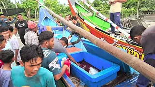Perahu Mancing Ikan Tuna, Nelayan Jangka Menangkap Banyak Ikan Tuna Laut Aceh | Fishing Tuna