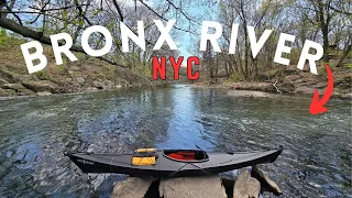 Urban Kayaking Adventure: 8 Miles on the Bronx River in NYC