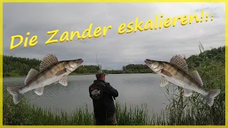 Raubfischangeln mit Köderfisch schaff ich das Tripel und  kann Hecht, Zander und Barsch fangen?