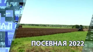 "Детали недели" - Посевная 2022