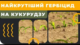 Найкрутіший гербіцид на кукурудзу. АгроНЯНЯ 13