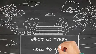 Arbor Day Kids' Series - Episode 2: What do trees need to grow?