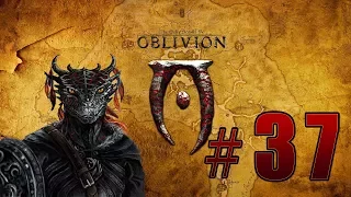 Прохождение The Elder Scrolls 4: Oblivion (TES 4) - Прибытие в Чейдинхол #37