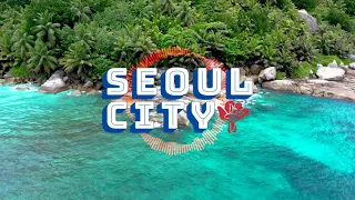 Ariana Grande ft. Doja Cat & Megan Thee Stallion - 34 + 35 [Seoul City Remix]