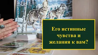 Его истинные чувства и желания к вам? Его действия в течении 10 дней. Расклад на картах Таро