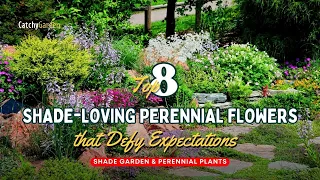 Top 8 Shade-Loving Perennial Flowers that Defy Expectations 🌺🌷🌸 // Gardening Ideas