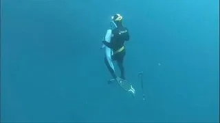 Spearfishing with aggressive sharks in Florida!!!