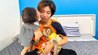 Monkey Kaka and Diem hugged and kissed mom after many days of separation