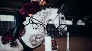 ~ Equestrian Sport ~ Dressage ~ Конный спорт ~ Выездка ~ Never Forget You ~