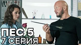 Сериал ПЕС - 5 сезон - 7 серия - ВСЕ СЕРИИ смотреть онлайн | СЕРИАЛЫ ICTV
