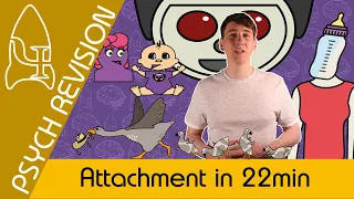 Attachment - AQA Psychology in 22 MINS!
