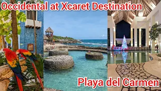 Christmas and New Year at Occidental Xcaret All inclusive Resort