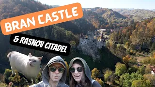 Bran Castle, Rasnov Citadel, cuddly cats, and junk food in Transylvania Romania! #brancastle