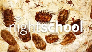 NightSchool: The Fossil Record