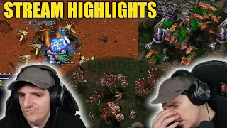 Cheese, 1base All-ins & more Cheese-- Arty Stream Highlights #4