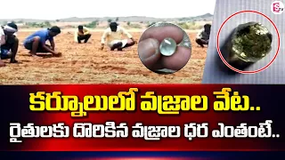 Diamonds Found In Jonnagiri Kurnool District | Diamond Hunt In Kurnool District | SumanTV