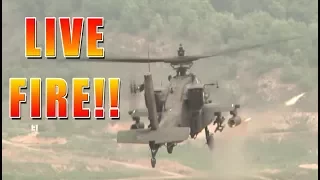 Live fire exercise with Apache, Cobra, Blackhawk, and Chinook