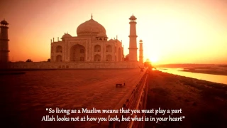 Heart of a Muslim   Zain Bhikha