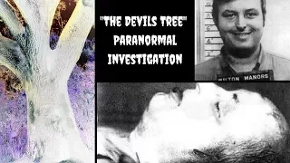 The Devils Tree Gerard Schaefer Paranormal Investigation Ghost Activity