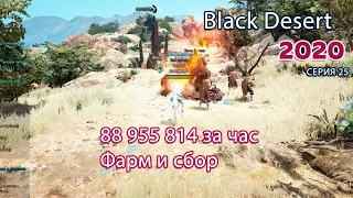 Фарм + сбор. Black Desert Фарм серебра 2020. Тут тоже есть ожерелье Шульца.