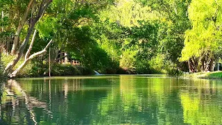 Relaxing Nature Ambience Meditation 🌳Healing Sounds of a Calming SPRING Sunny Day in Beautiful RIVER