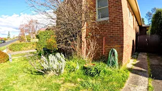 Surprising a Homeowner with a Garden Rescue: Yard Transformation