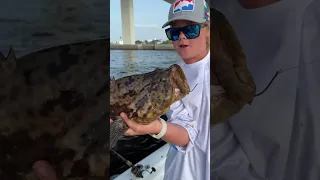 First Goliath grouper in the boat￼ #florida #floridafishing #floridaanimals #fish