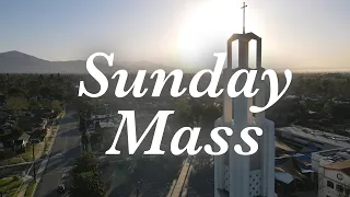 Palm Sunday Mass 4/10/2022, St. Therese Church