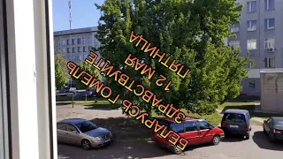 VLOG 491 Позвонили познакомиться/Горе женихи/