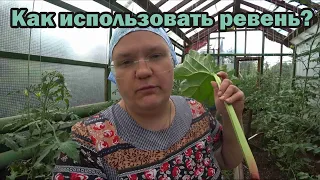 Что приготовить из ревеня?