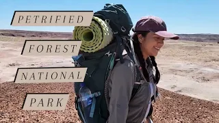 Backpacking through Petrified Forest National Park.