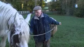 Emile et ses chevaux boulonnais