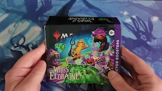 Wilds of Eldraine Collector Box Opening - Can we pull a Confetti Foil!?