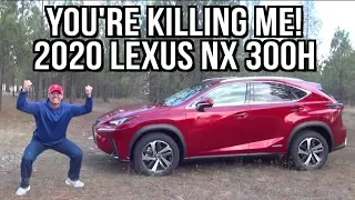 Here's What Bothers Me About the 2020 Lexus NX 300h on Everyman Driver