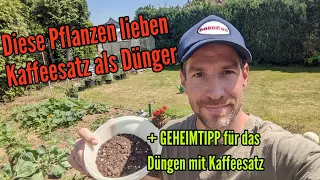 Diese Pflanzen lieben Kaffeesatz als Dünger ABER mit diesem Tipp könnt ihr alle Pflanzen mit Kaffee